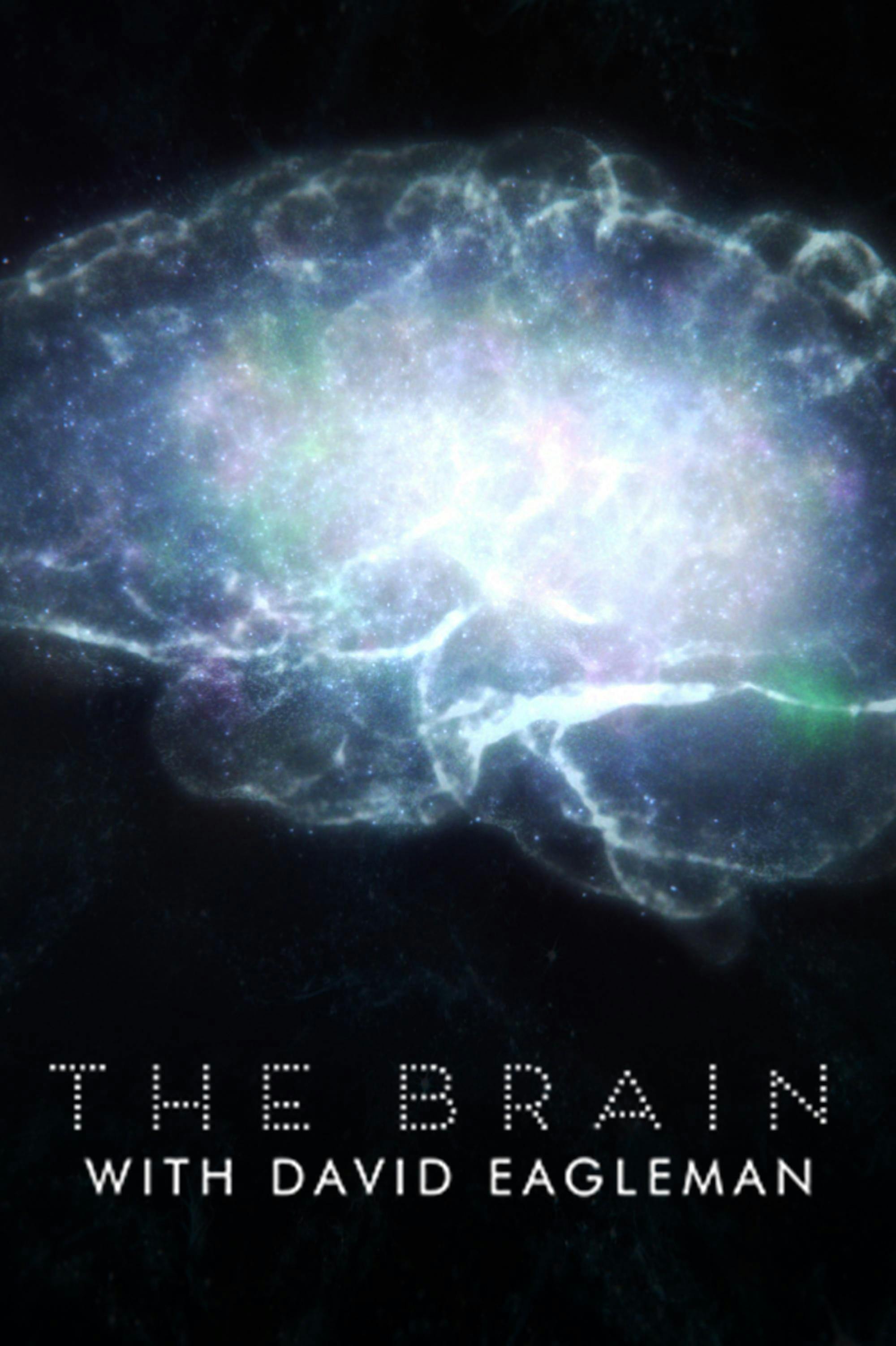 The Brain With David Eagleman Atlpba 4609
